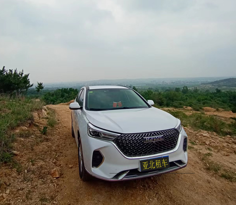 哈佛租車客戶野外作業(yè)